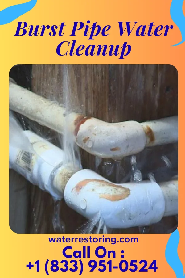 Burst Pipe Water Cleanup in Racine, OH