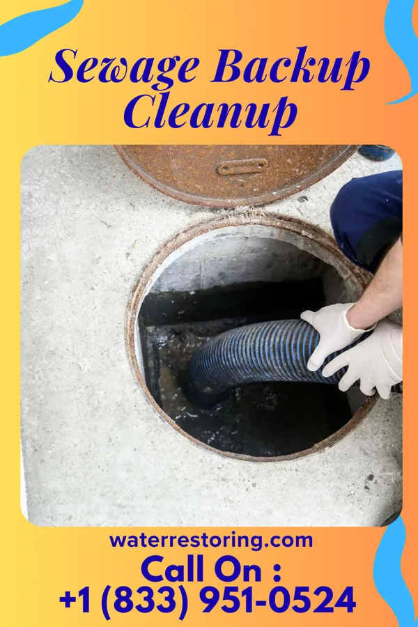 Sewage Backup Cleanup in Racine, OH