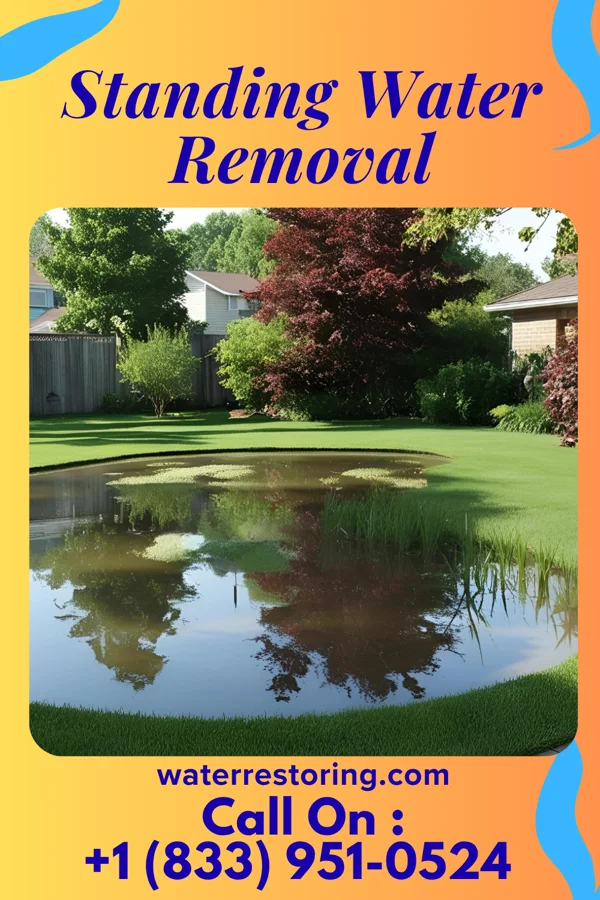 Standing Water Removal in Racine, OH